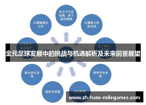 金元足球发展中的挑战与机遇解析及未来前景展望