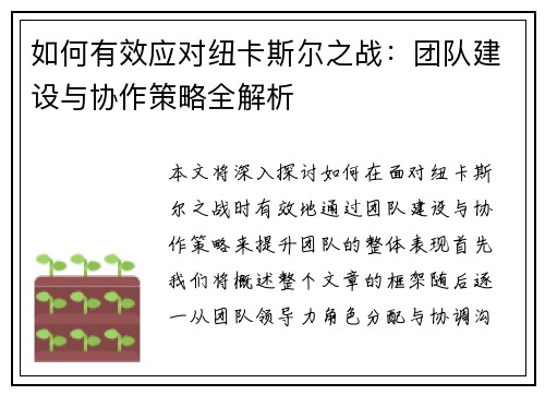 如何有效应对纽卡斯尔之战：团队建设与协作策略全解析