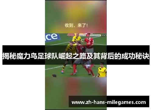 揭秘魔力鸟足球队崛起之路及其背后的成功秘诀