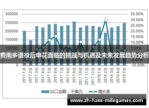 费南多退役后申花面临的挑战与机遇及未来发展趋势分析